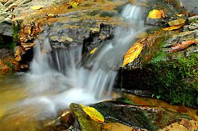 Geotop am Dreisesselberg